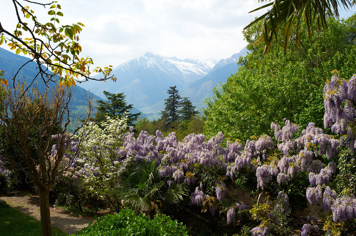 Merano